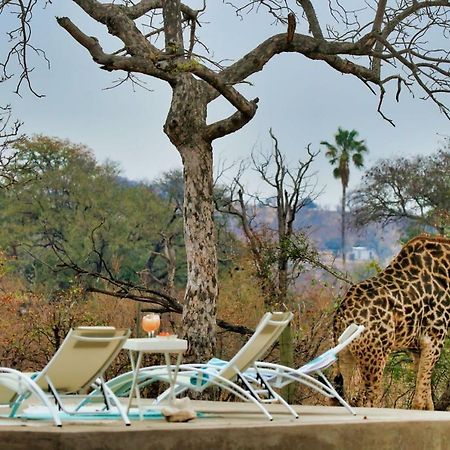 Ngalali Retreat Hotel Grietjie Game Reserve Ngoại thất bức ảnh
