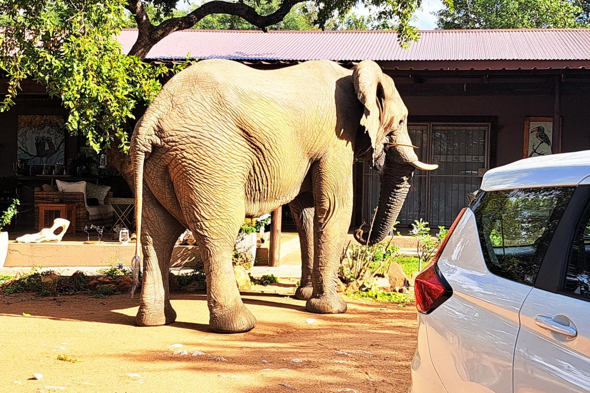Ngalali Retreat Hotel Grietjie Game Reserve Ngoại thất bức ảnh