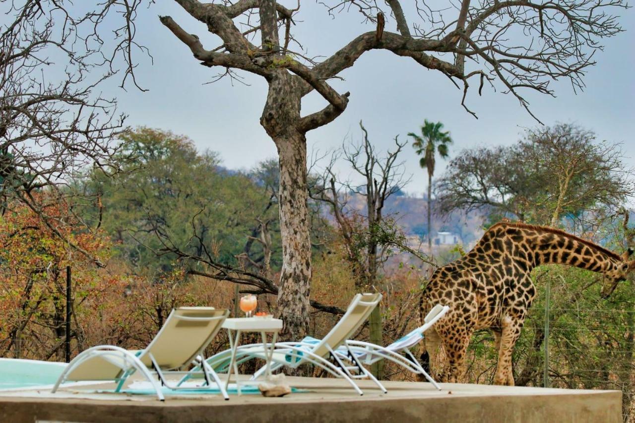 Ngalali Retreat Hotel Grietjie Game Reserve Ngoại thất bức ảnh
