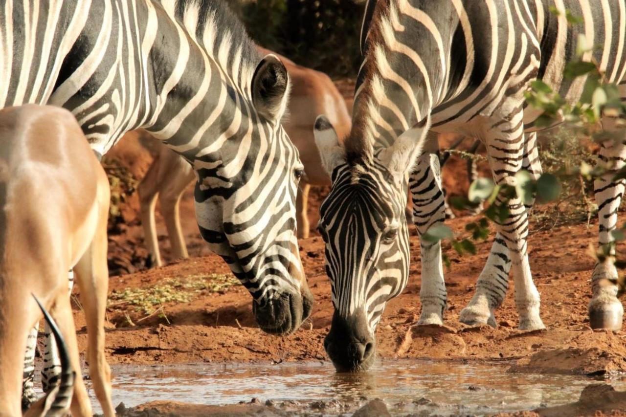 Ngalali Retreat Hotel Grietjie Game Reserve Ngoại thất bức ảnh
