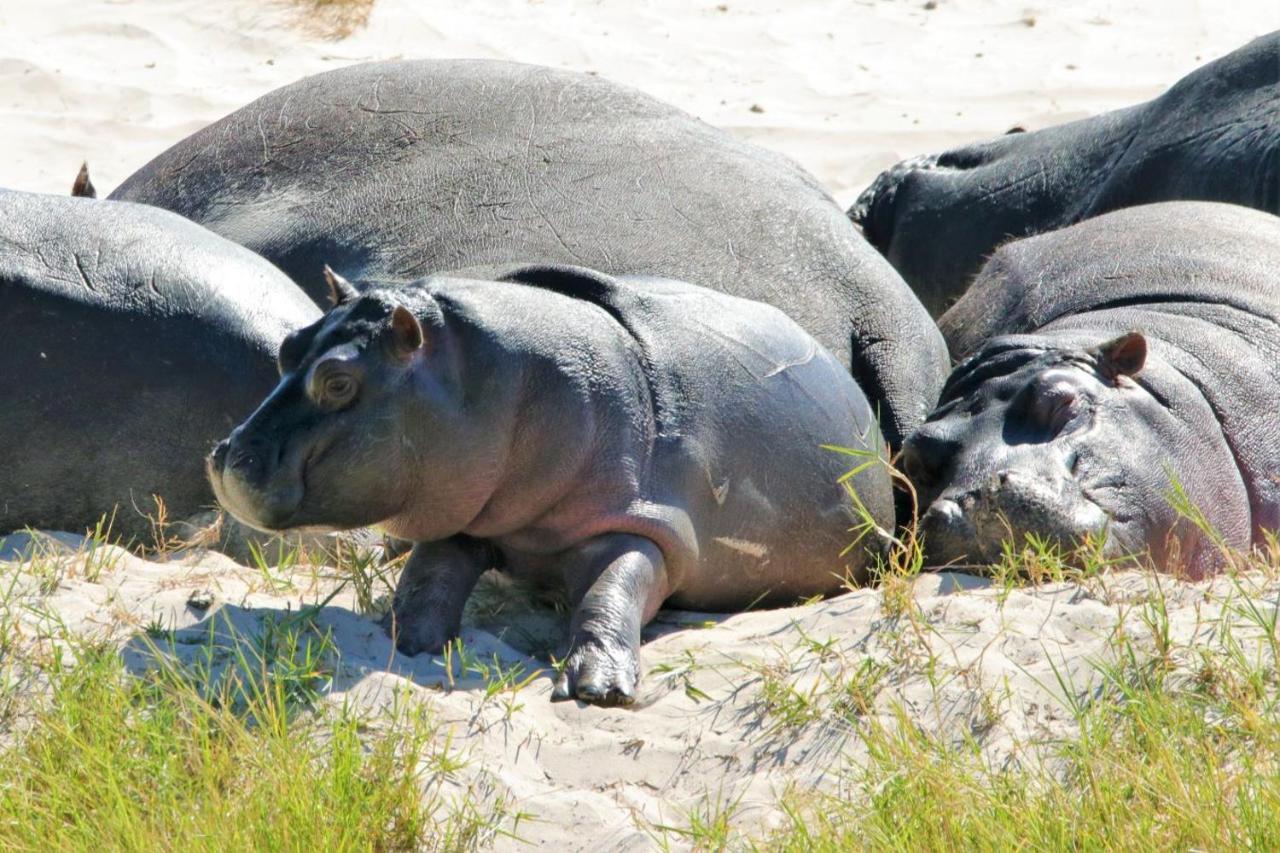 Ngalali Retreat Hotel Grietjie Game Reserve Ngoại thất bức ảnh